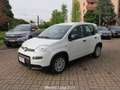 Fiat Panda 1.0 FireFly S&S Hybrid (OK NEOPATENTATI) Blanco - thumbnail 5