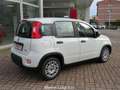 Fiat Panda 1.0 FireFly S&S Hybrid (OK NEOPATENTATI) Blanc - thumbnail 3