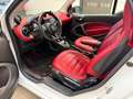 smart forTwo Fortwo 1.0 Passion 71cv twinamic Bianco - thumbnail 3