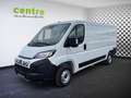 Fiat Ducato Schwingsitz, 7´´ Car Play, 360 Grad, uvm. Weiß - thumbnail 2