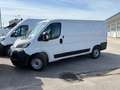 Fiat Ducato Schwingsitz, 7´´ Car Play, 360 Grad, uvm. Weiß - thumbnail 13