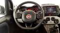 Fiat New Panda Cross 1.0 FireFly Hybrid Weiß - thumbnail 12