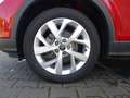 Audi Q2 Q2 35 TFSI S tronic Rot - thumbnail 15