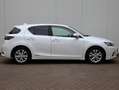 Lexus CT 200h Business Line | Navigatie | Camera | Cruise Contro Blanc - thumbnail 6