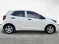 Kia Picanto 1.0 CVVTEco-Dynamics Concept Blanco - thumbnail 3
