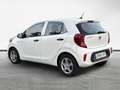 Kia Picanto 1.0 CVVTEco-Dynamics Concept Blanco - thumbnail 5
