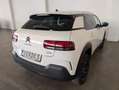 Citroen C4 Cactus Shine Weiß - thumbnail 11