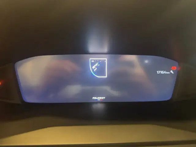 Peugeot 2008 view 10