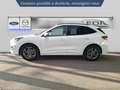 Ford Kuga 2.5 Duratec 190ch FHEV E85 ST-Line BVA Weiß - thumbnail 4