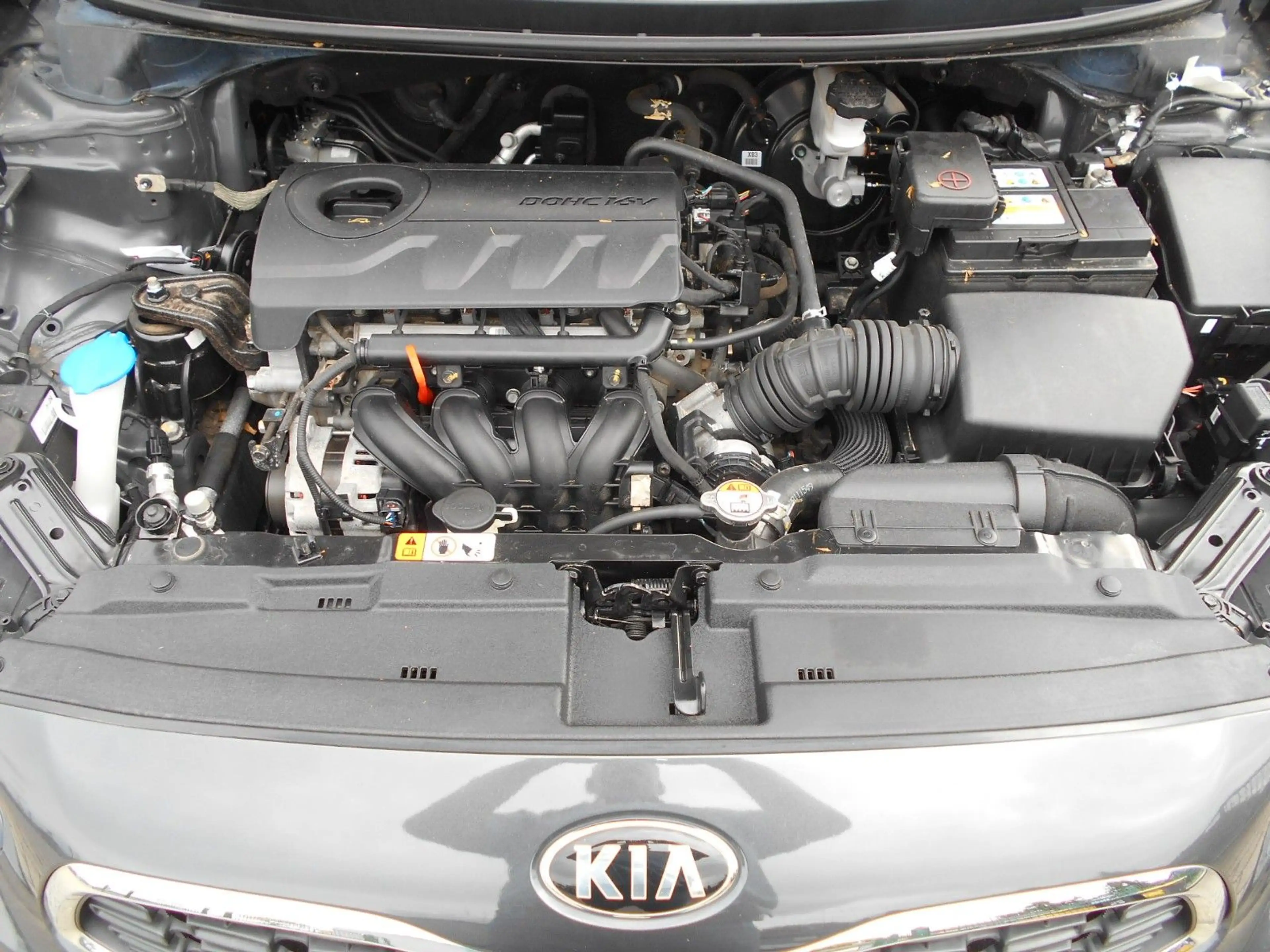 Kia Ceed SW / cee'd SW Ceed 1.4 Sportswagon Edition 7 KLIMA/PDC — photo 14