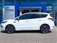 Ford Kuga 1.5 EcoBoost ST Line | Stoel-stuur/voorruitverwarm Blanc - thumbnail 6