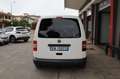 Volkswagen Caddy 1.6 TDI DSG  Autocarro 5Posti Eu5 Wit - thumbnail 46
