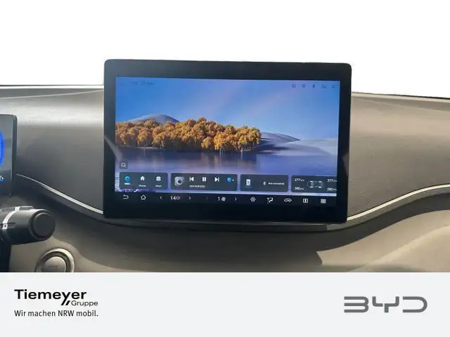 Byd Dolphin view 13