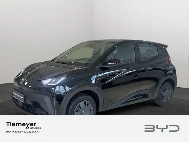 Byd Dolphin main image