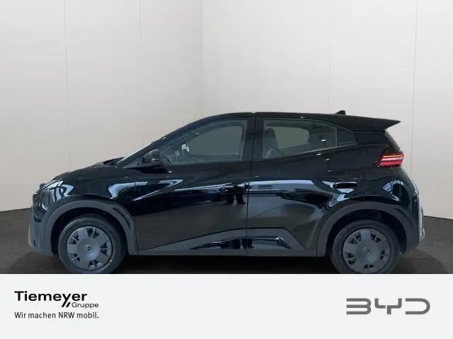 Byd Dolphin view 7
