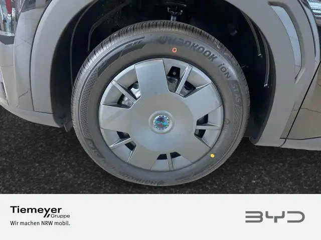 Byd Dolphin view 8