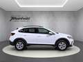 Volkswagen Taigo 1.0 TSI Life, Navi, Matrix LED, Sitzh. Weiß - thumbnail 3