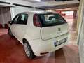 Fiat Punto 5p 1.4 Street (easy) s&s dualogic - thumbnail 3
