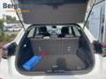 Ford Puma Titanium Blanco - thumbnail 13