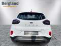 Ford Puma Titanium Bianco - thumbnail 4