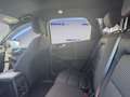 Ford Kuga 2.0 EcoBlue Hybrid 150 CV 2WD ST-Line Grigio - thumbnail 14
