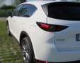Mazda CX-5 CX-5 2.0 Exclusive 2wd 165cv Bianco - thumbnail 4