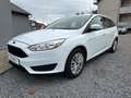 Ford Focus 1,6 77 KW Wit - thumbnail 1