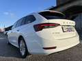Skoda Octavia Combi 2,0 TDI Ambition DSG/SHA/AHK/RFK/AMBIENTE... Weiß - thumbnail 14