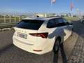 Skoda Octavia Combi 2,0 TDI Ambition DSG/SHA/AHK/RFK/AMBIENTE... Weiß - thumbnail 8