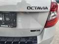 Skoda Octavia 4x4 RS TDI DSG Grau - thumbnail 21