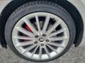 Skoda Octavia 4x4 RS TDI DSG Grau - thumbnail 14