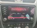 Skoda Octavia 4x4 RS TDI DSG Grau - thumbnail 17