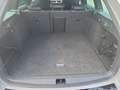 Skoda Octavia 4x4 RS TDI DSG Grau - thumbnail 24