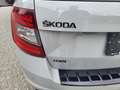 Skoda Octavia 4x4 RS TDI DSG Grau - thumbnail 22