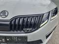 Skoda Octavia 4x4 RS TDI DSG Grau - thumbnail 20