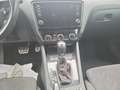 Skoda Octavia 4x4 RS TDI DSG Grau - thumbnail 11