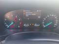 Ford Focus Focus 1.0 EcoBoost 125 CV 5p. ST-Line Argent - thumbnail 14