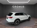Volkswagen Touareg Touareg 3.0 V6 tdi 231cv tiptronic Bianco - thumbnail 5