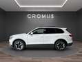 Volkswagen Touareg Touareg 3.0 V6 tdi 231cv tiptronic Bianco - thumbnail 6