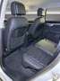 Volkswagen Touareg Touareg 3.0 V6 tdi 231cv tiptronic Bianco - thumbnail 14