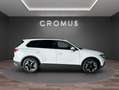 Volkswagen Touareg Touareg 3.0 V6 tdi 231cv tiptronic Bianco - thumbnail 1