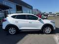 Hyundai TUCSON 1.6 CRDI 115ch Creative Euro6d-Evap White - thumbnail 9