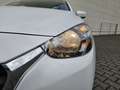 Mazda 2 SKYACTIV-G 75 Prime-Line | Klimaanlage | White - thumbnail 4