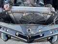 Ford - Rood - thumbnail 15