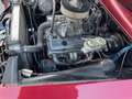 Ford - Rood - thumbnail 16
