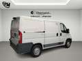 Fiat Ducato * FRIGO * 2.0 MJT PC-TN Furgone * RETROCAMERA * Bianco - thumbnail 6