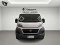 Fiat Ducato * FRIGO * 2.0 MJT PC-TN Furgone * RETROCAMERA * Bianco - thumbnail 2