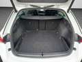 Skoda Octavia Combi Selection 1.5 TSI FRONT-ASSIST SHZ Wit - thumbnail 15