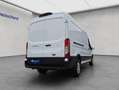 Ford Transit 350 Kasten L3H2 Lkw Trend KLIMA RFK SHZ Blanco - thumbnail 4