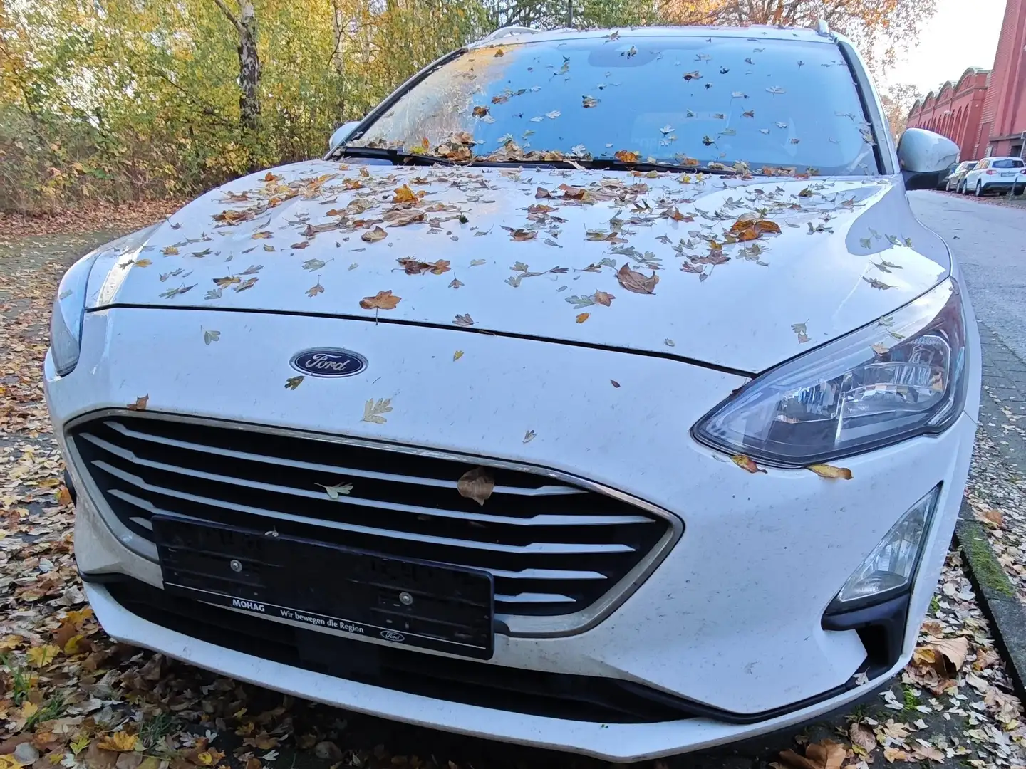 Ford Focus Focus Turnier 1.5 EcoBlue ACTIVE Motorschaden Weiß - 1